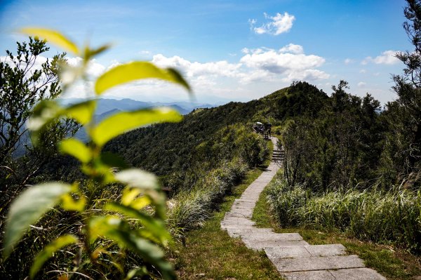 五分山｜小百岳2915448