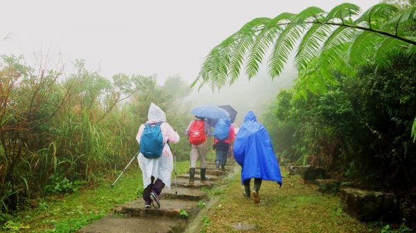 淡蘭古道深度旅遊~尋找古道上珍貴歷史遺跡754477