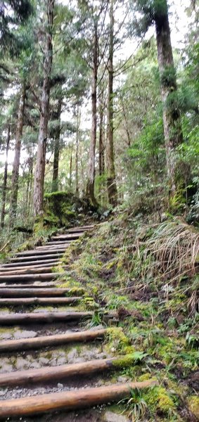 2022-02-28太平山-茂興懷舊步道1623355