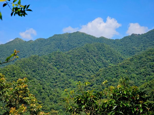 淡蘭南路第四段：𩻸魚堀溪自行車道至縣界公園2873629