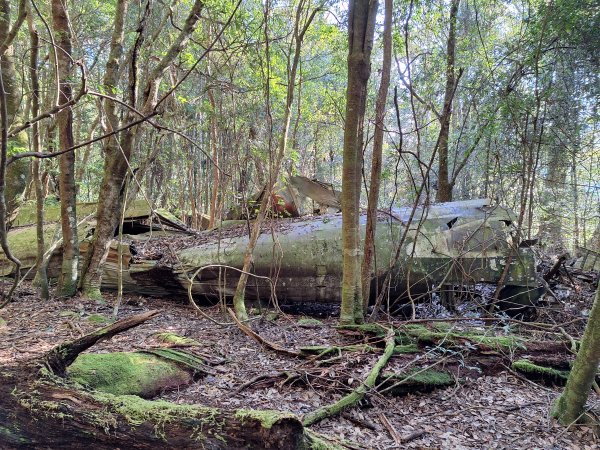 屋我尾山+G(大雪山進老鷹谷出)O型202502162713579