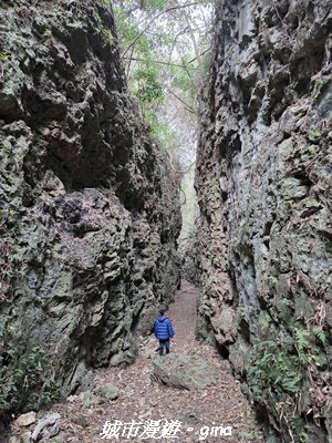 【高雄田寮】小百岳大崗山x大崗山磐龍峽谷步道3013151