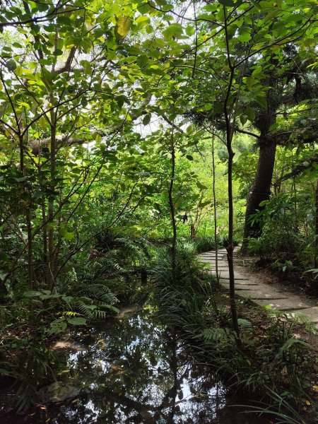 大安森林公園、大港墘公園【走路趣尋寶】【臺北健走趣】2556018