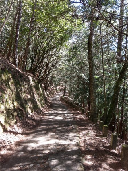武陵桃山瀑布步道（煙聲瀑布）往返約9km829625