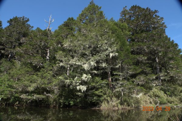 南投 仁愛 武法奈尾山2133767