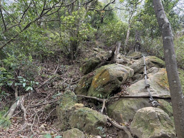 [微笑山線_第四段] 2026_0321 天上山系_十八羅漢岩3022128