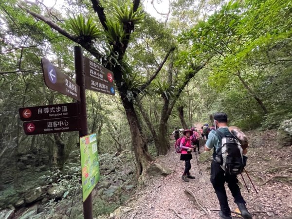 1100512拉卡山.東滿步道1386456