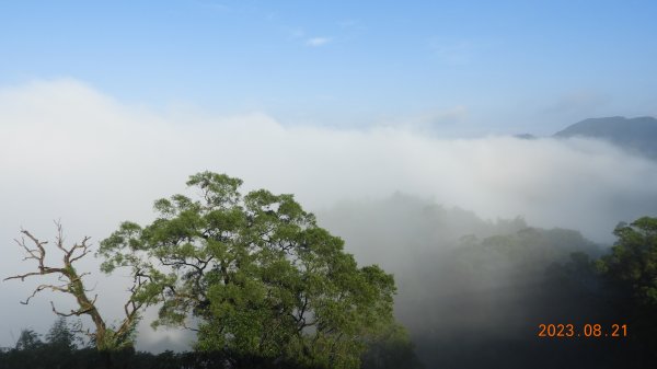 石碇二格山&雲海山&十三股山雲霧飄渺，差強人意雲海+觀音圈2256967