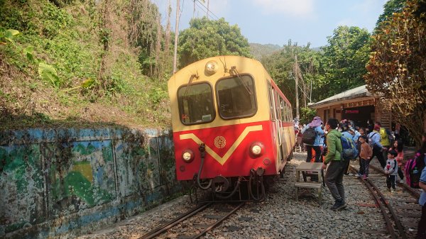 20210228獨立山大籠頂步道1618517