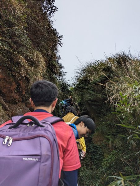 2023-11-19 臺北大縱走第三段2793054