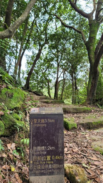 擎天崗系步道巡禮2104320