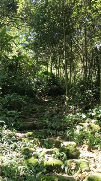 20251004 馬那邦山 - 珠湖 登山口2904890