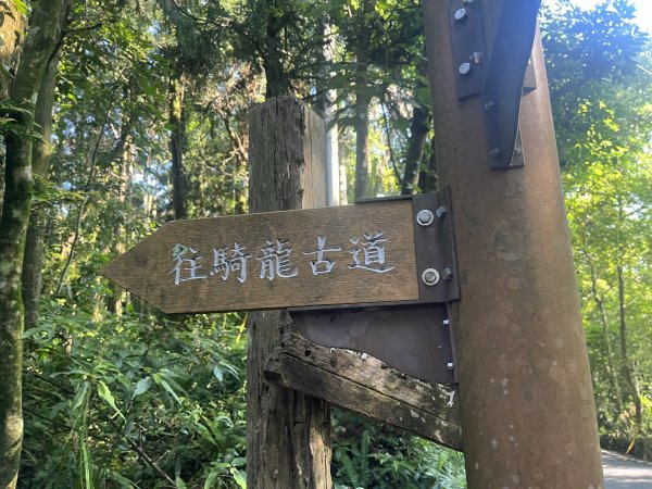 [皮皮獅Hike客任務-06/10] 2024_0831 騎龍古道2585883