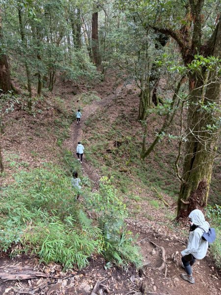 2026/02/08馬崙山3008157