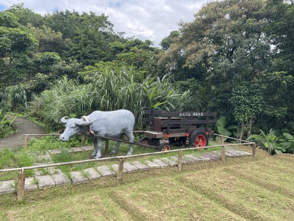 【二格山系】銀河洞越嶺2852589