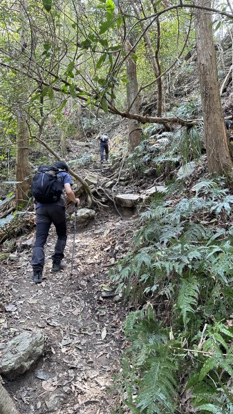 崩潰陡上的水雲三星～鳥嘴山（上島山）2095288