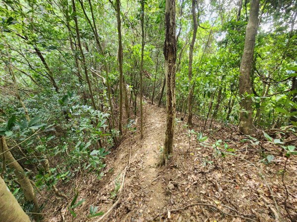 20251214石牛山柑坪山新柑坪山牛背岩2972752