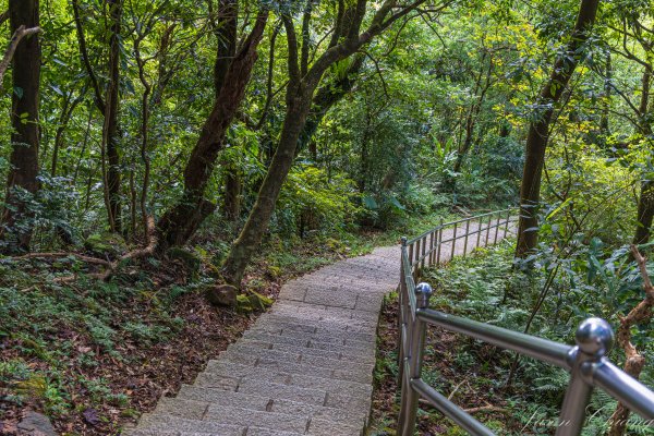 [新北]汐止大尖山2906093