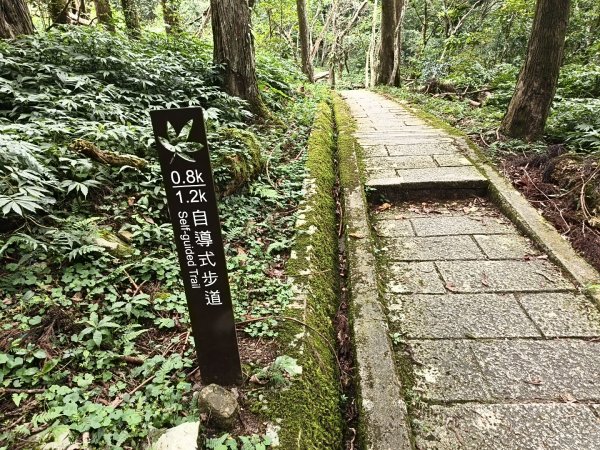 [百山百鳥尋旅-09/15] 2025_0920 滿月圓國家森林遊樂區步道群2893068