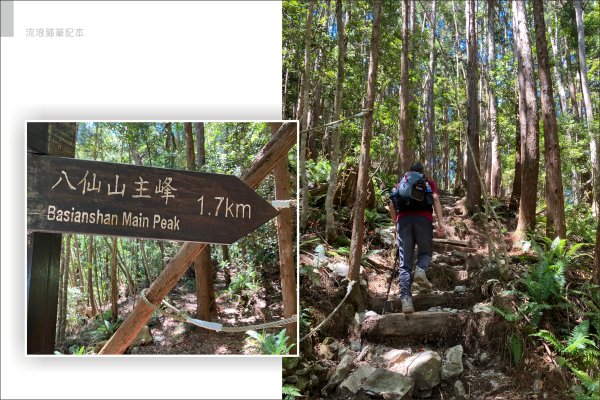 【谷關七雄】八仙山主峰步道2894870