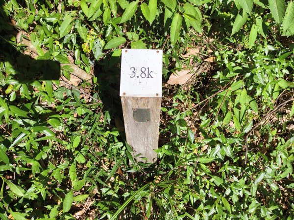 [玉山尋寶任務-07/12] 2025_0824 八通關雲龍瀑布步道2870637