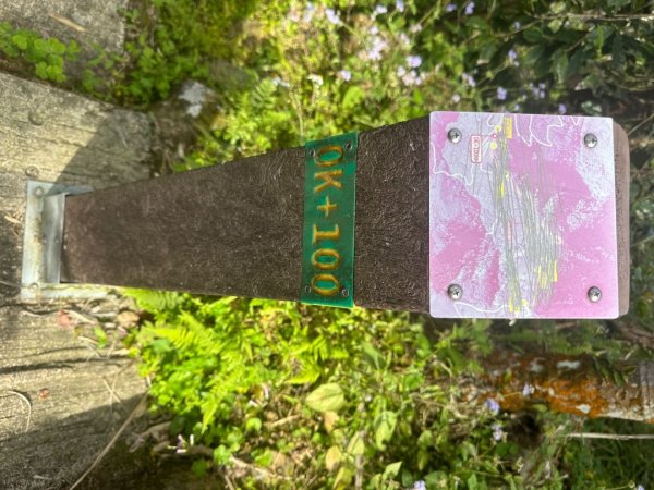 嘉雲二尖山、大尖山2734871