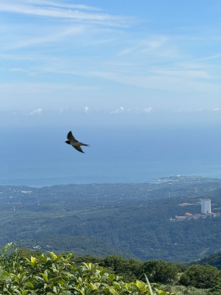 2025台北大縱走第二回合:1+2段2821283