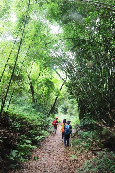 文山步道連走三段崎古道128004