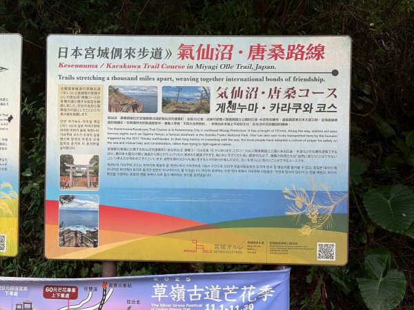 新北 貢寮 草嶺古道2955656