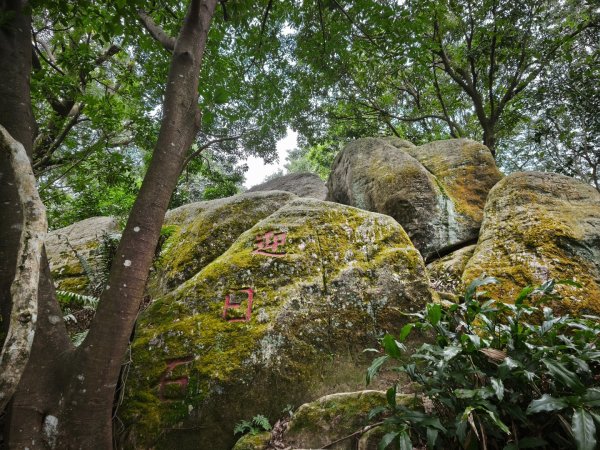 20260126微笑山線烘爐地段2989045