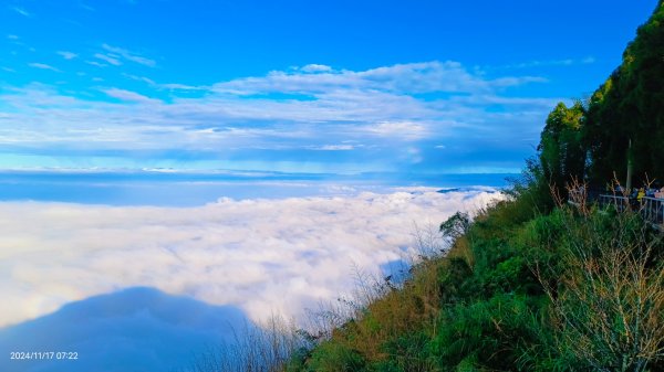 阿里山 #隙頂二延平 #頂石棹 #觀音圈 #雲海 #琉璃光 #雲瀑 #霧虹 11/172649783
