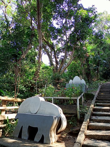 【南山神壽任務尋寶趣】國際化的象山親山步道1596470