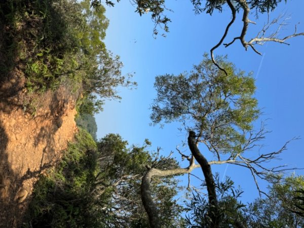 苗栗縣三義鄉小百岳火炎山（3-159），南鞍古道O形。台中市大安區下九（3-158）平地基石2340903