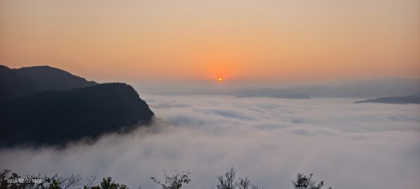 #翡翠水庫壩頂 #日出 #雲海 #藍腹鷴 2/22 #年初六3004063