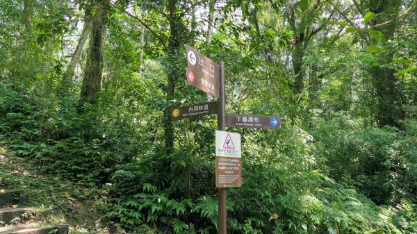 福山部落,內洞森遊區2552433