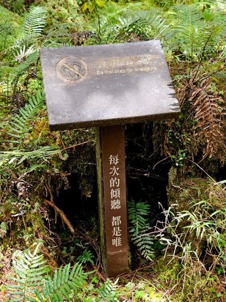 翠峰湖環山步道-(宜蘭)臺灣百大必訪步道2827557