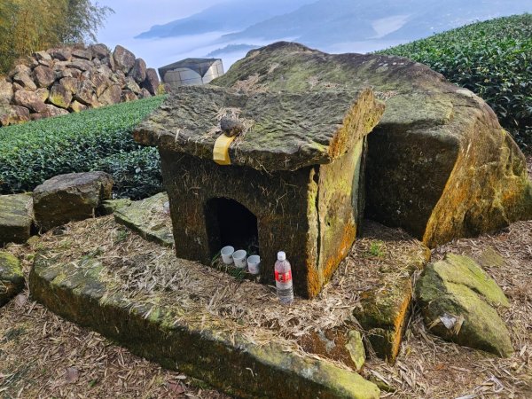 20241214竹崎15連峰(四大天王山到大湖尖山路況荒涼)2668995
