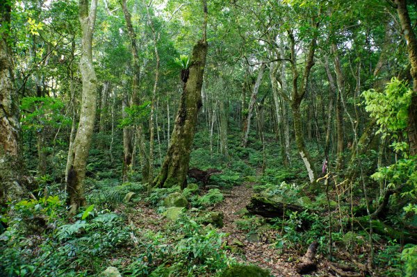 新竹 尖石 大混山、牛欄坑山、李崠山3058557