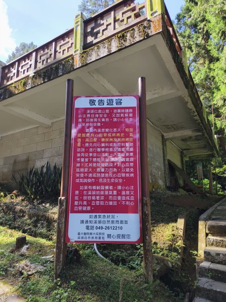[百山百鳥尋旅-05/15] 2025_0830 溪頭賞鳥步道_賞鳥步道2875026