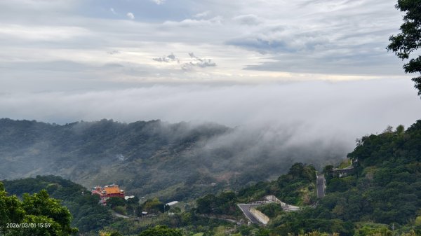 #雲瀑 #雲海 #琉璃光 #天空之城（林口）#觀音山 #林梢步道 3/13008575