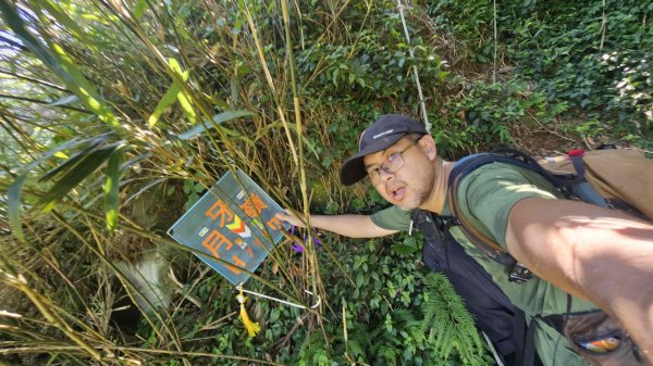 20250820金童玉女月牙天沖(金童嶺-玉女嶺-女王尖-月牙嶺-瑞光嶺-明月崙-清淨嶺-文筆嶺-清2872745