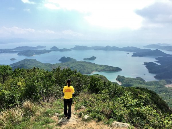 香港山系 － 九龍 • 新界934545