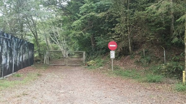 20251010 大雪山國家森林遊樂區 - 船型山林道 登 烏石坑山2911152