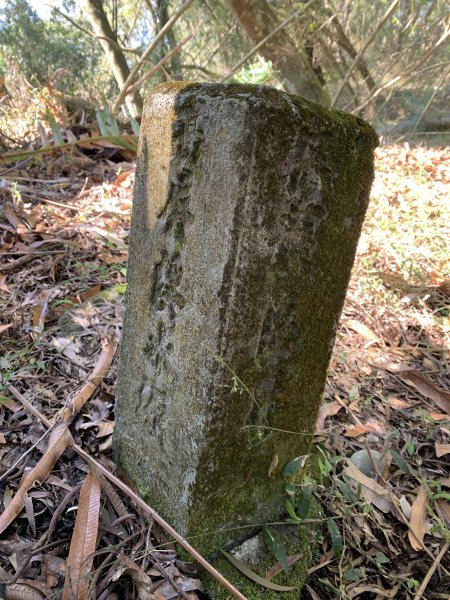 20250120高雄三縣界山-河表湖山-拉比嶺山-玉打山2697467