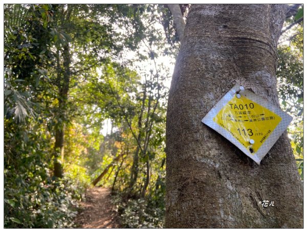 頭寮山、內湳溝山、牛角湳西南峰O型連走2738966