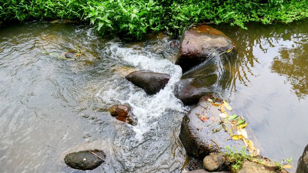 白石湖沒有百合花。晶片關稅2781566