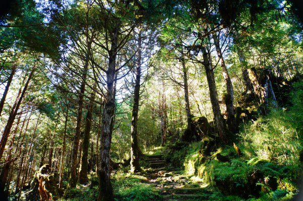 宜蘭 大同 多門山3127629