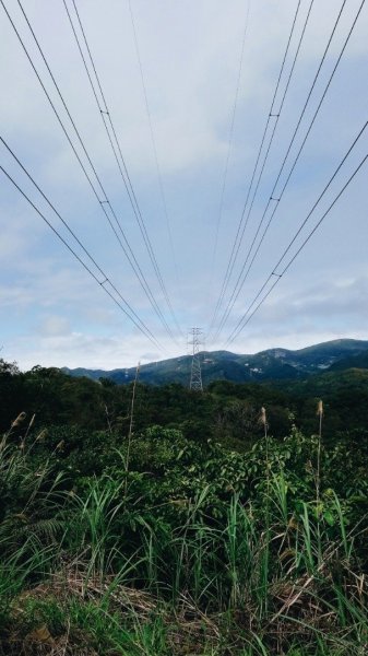 明舉山(柿子山) 康樂山 白鷺鷥山 連走523894