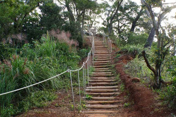 新竹 新埔 犁頭山、吧哩國山、石頭坑山2936768