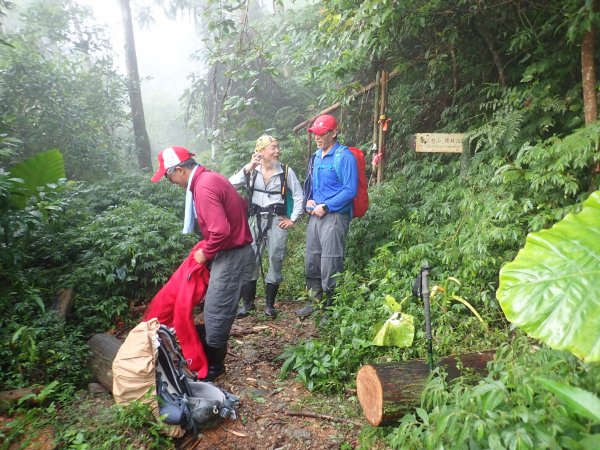 福山往返茶墾山，大台北郊山百岳之馬克完百623943